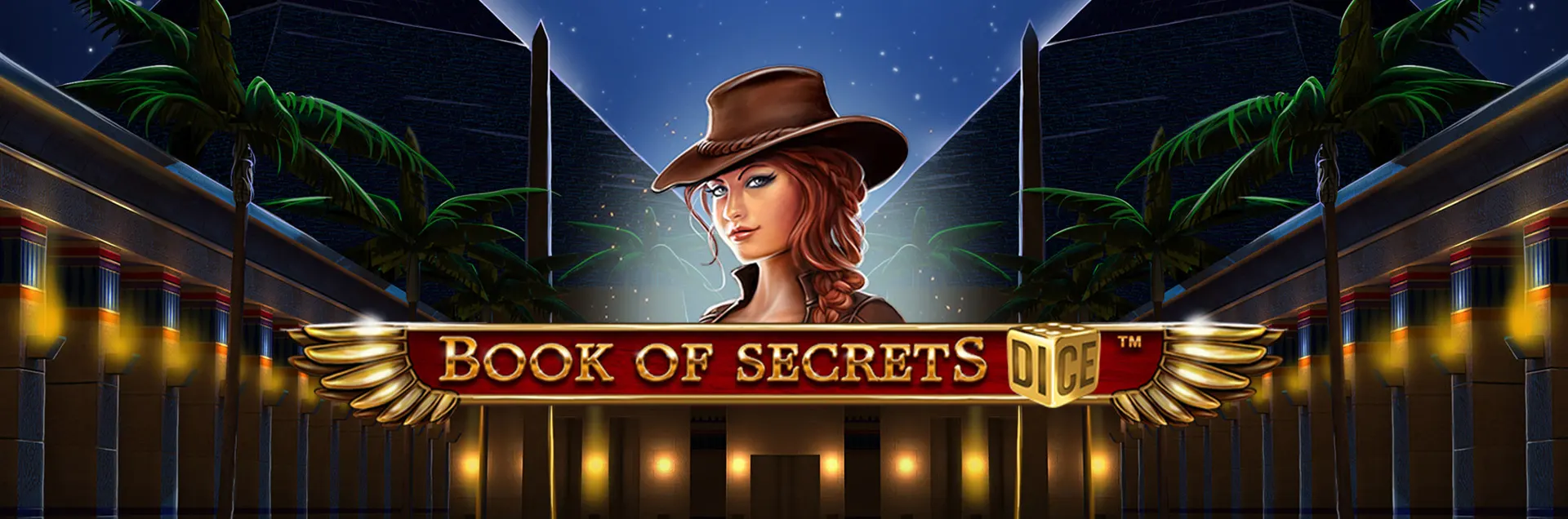 Book of Secrets Dice