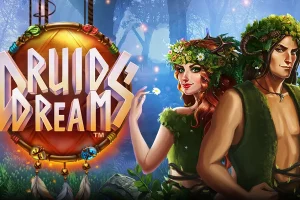 Jogar Druid's Dream Grátis