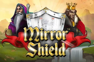 mirror shield